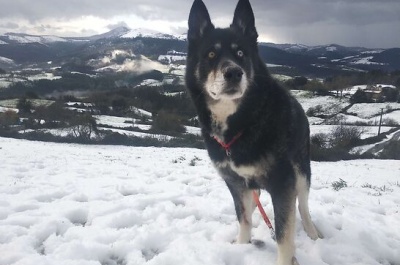 nuestro Max disfrutando de días de nieve